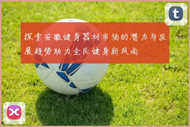 探索安徽健身器材市场的潜力与发展趋势助力全民健身新风尚