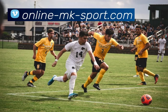 MK体育平台生态图